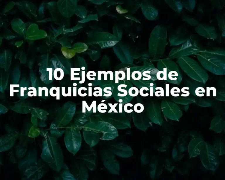 10 Ejemplos de Franquicias Sociales en México