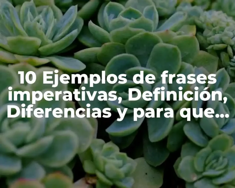 10 Ejemplos de frases imperativas, Definición, Diferencias y para que sirve