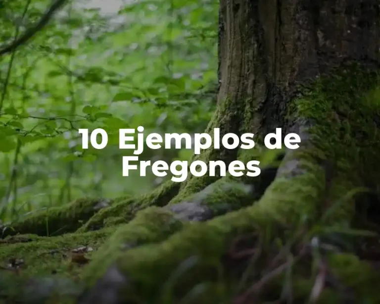 10 Ejemplos de Fregones