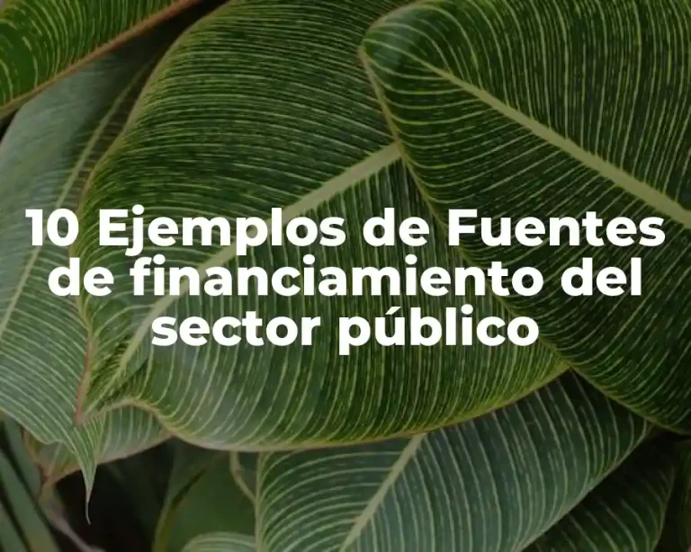 10 Ejemplos de Fuentes de financiamiento del sector público