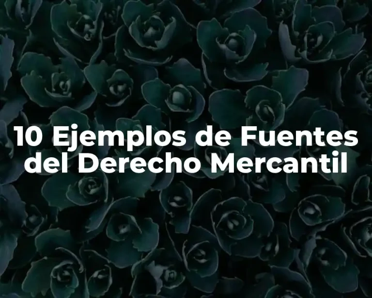 10 Ejemplos de Fuentes del Derecho Mercantil