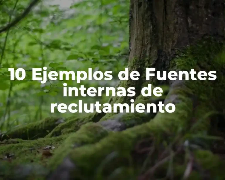 10 Ejemplos de Fuentes internas de reclutamiento