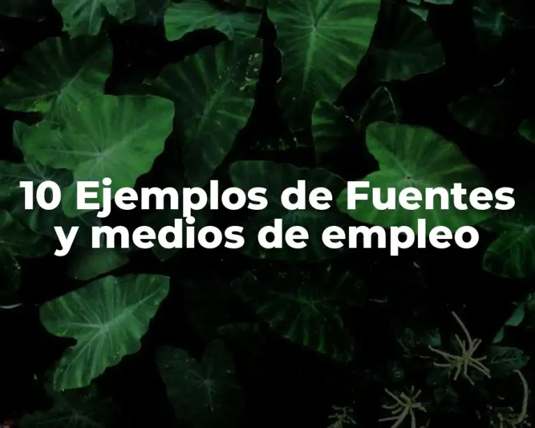 10 Ejemplos de Fuentes y medios de empleo
