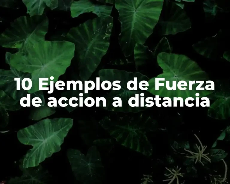 10 Ejemplos de Fuerza de accion a distancia