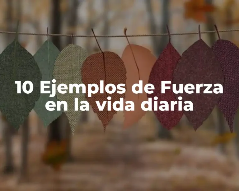 10 Ejemplos de Fuerza en la vida diaria