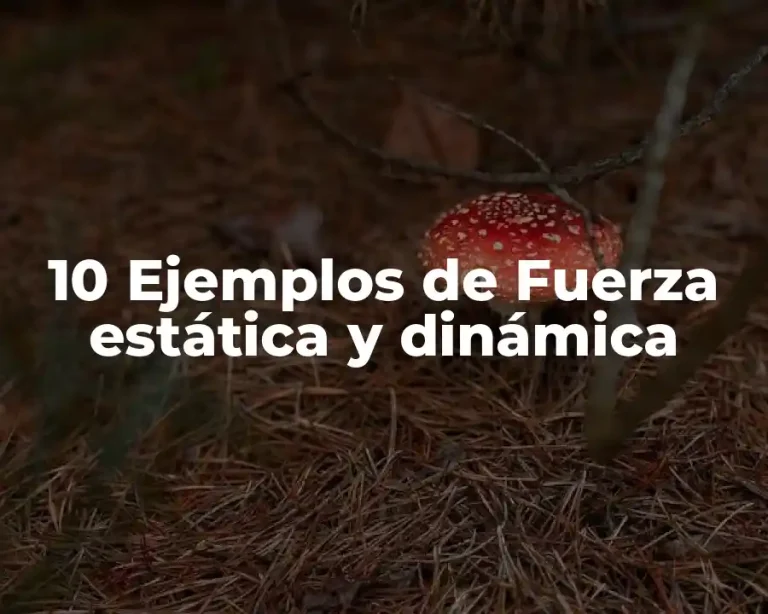 10 Ejemplos de Fuerza estática y dinámica