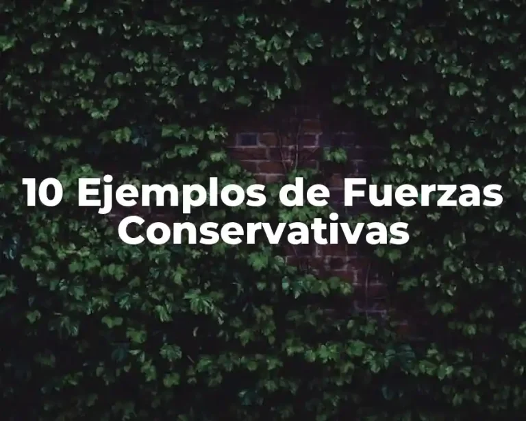 10 Ejemplos de Fuerzas Conservativas