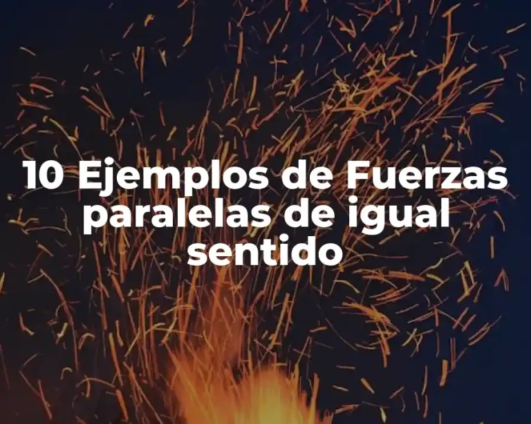 10 Ejemplos de Fuerzas paralelas de igual sentido