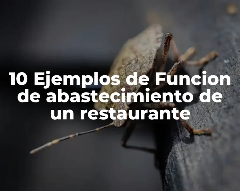 10 Ejemplos de Funcion de abastecimiento de un restaurante