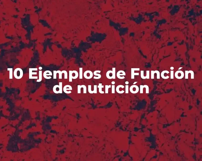 10 Ejemplos de Función de nutrición