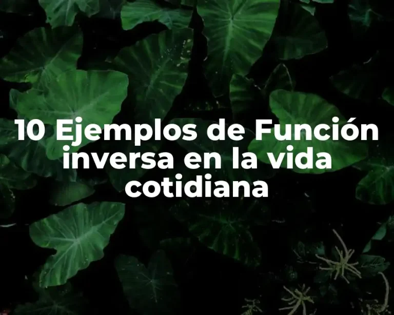 10 Ejemplos de Función inversa en la vida cotidiana