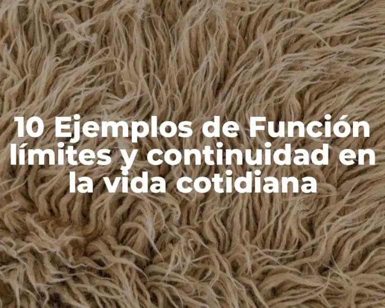 10 Ejemplos de Función límites y continuidad en la vida cotidiana