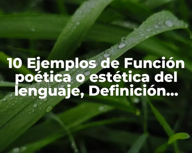 10 Ejemplos de Función poética o estética del lenguaje, Definición, Diferencias y para que sirve