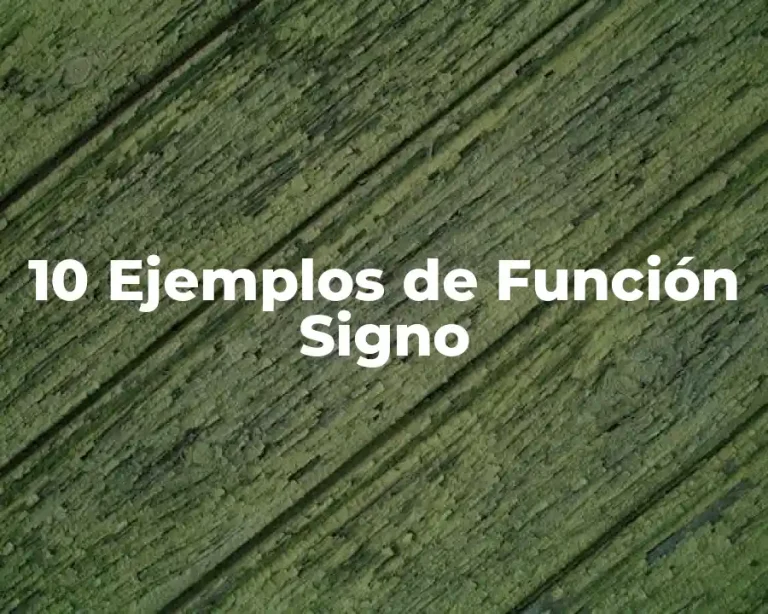 10 Ejemplos de Función Signo
