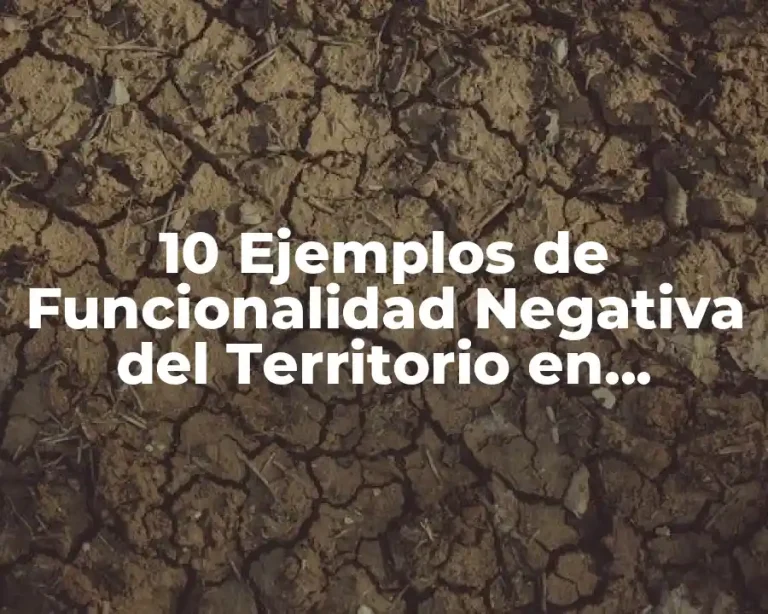 10 Ejemplos de Funcionalidad Negativa del Territorio en Comandante Marcos