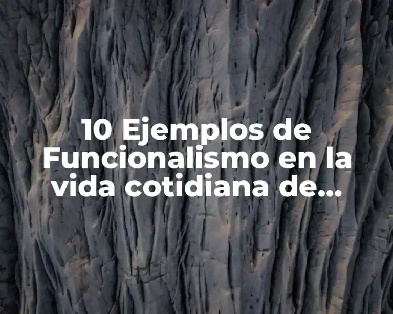 10 Ejemplos de Funcionalismo en la vida cotidiana de estructuralismo