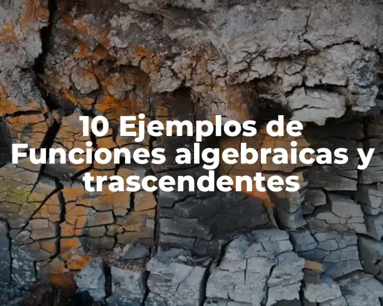 10 Ejemplos de Funciones algebraicas y trascendentes