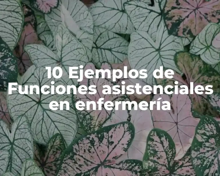 10 Ejemplos de Funciones asistenciales en enfermería