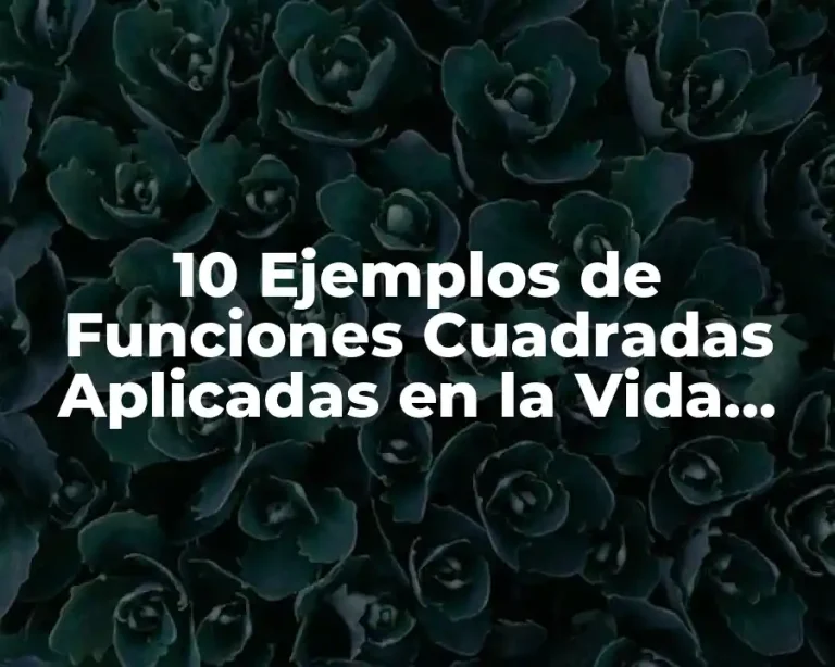 10 Ejemplos de Funciones Cuadradas Aplicadas en la Vida Cotidiana