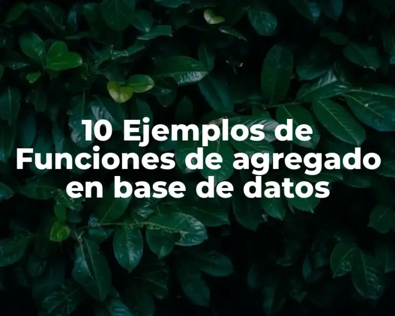 10 Ejemplos de Funciones de agregado en base de datos