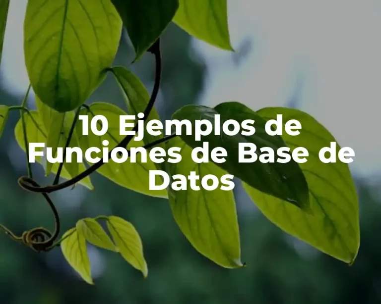 10 Ejemplos de Funciones de Base de Datos