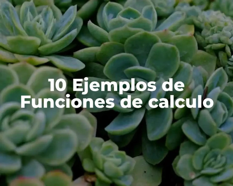 10 Ejemplos de Funciones de calculo