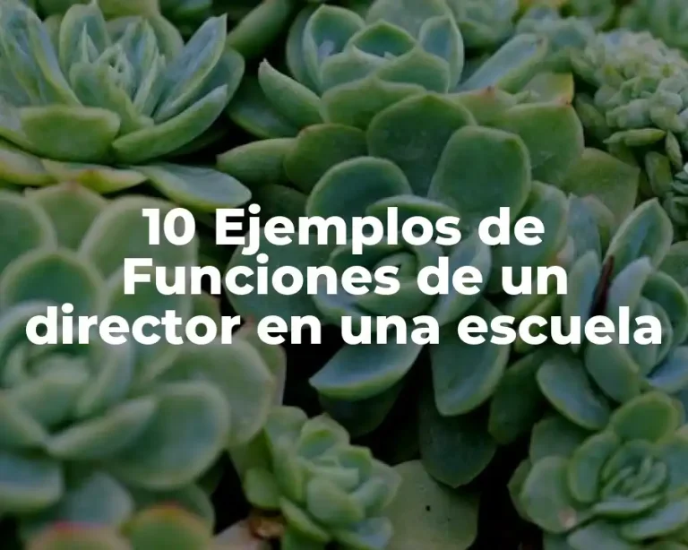 10 Ejemplos de Funciones de un director en una escuela
