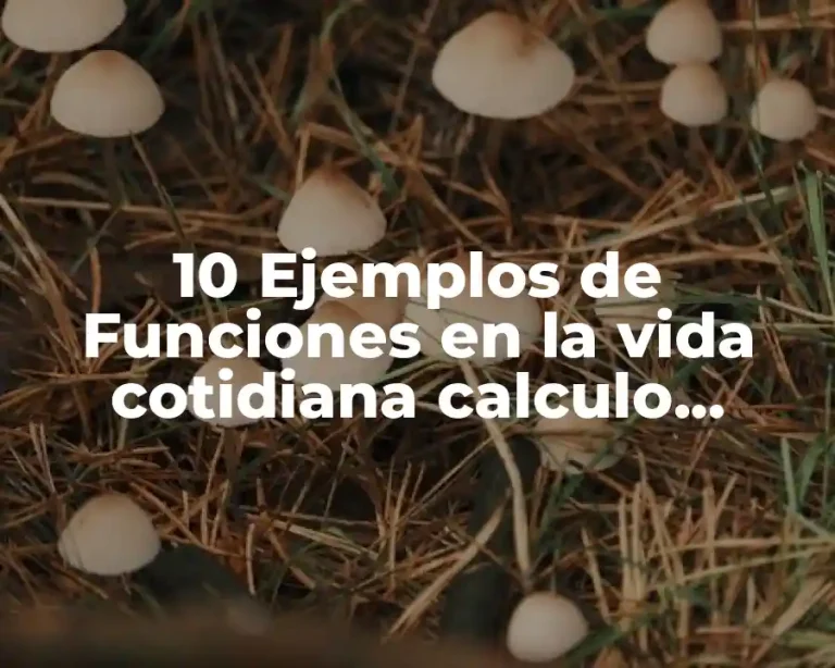 10 Ejemplos de Funciones en la vida cotidiana calculo diferencial
