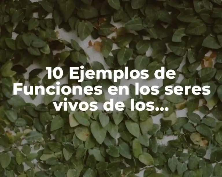 10 Ejemplos de Funciones en los seres vivos de los carbohidratos