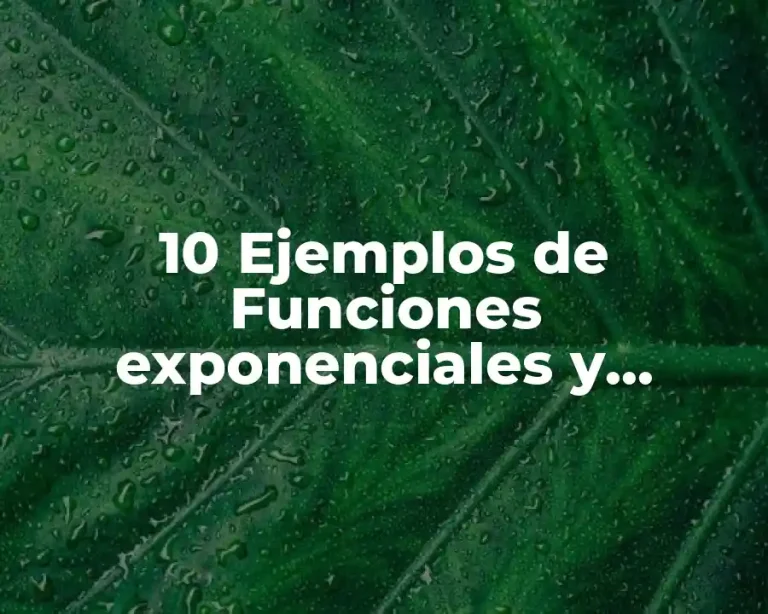 10 Ejemplos de Funciones exponenciales y logaritmicas