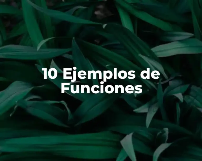 10 Ejemplos de Funciones