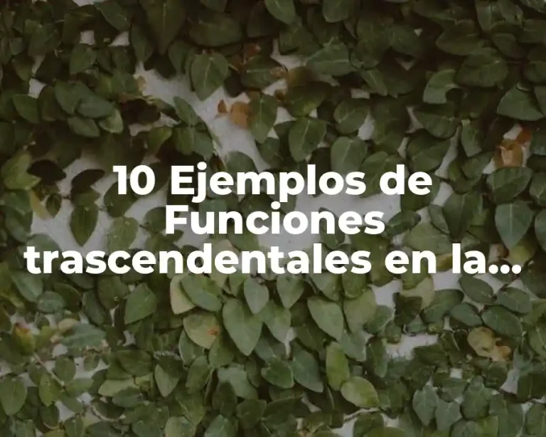 10 Ejemplos de Funciones trascendentales en la vida cotidiana