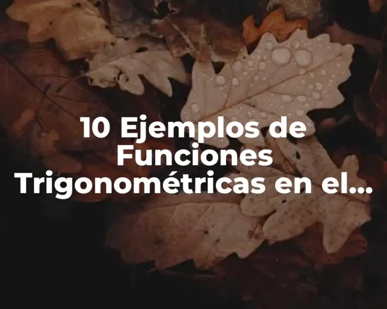 10 Ejemplos de Funciones Trigonométricas en el Círculo Unitario