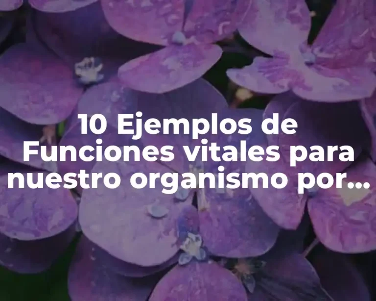 10 Ejemplos de Funciones vitales para nuestro organismo por fluidos