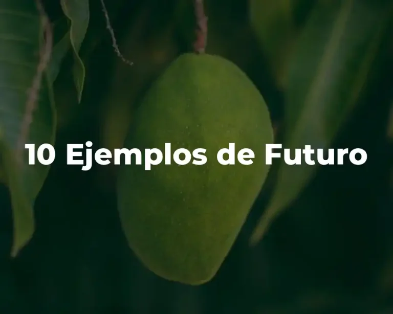 10 Ejemplos de Futuro