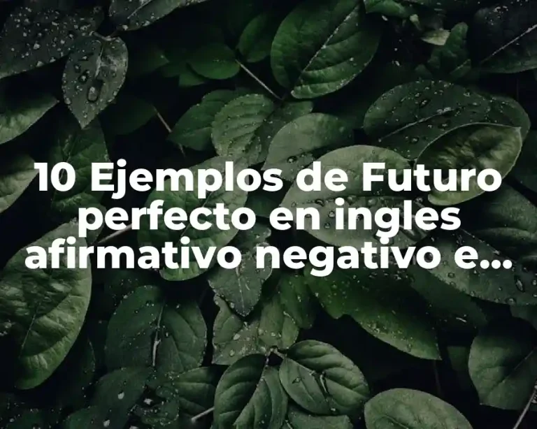 10 Ejemplos de Futuro perfecto en ingles afirmativo negativo e interrogativo