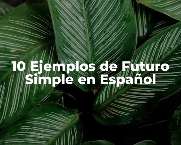 10 Ejemplos de Futuro Simple en Español