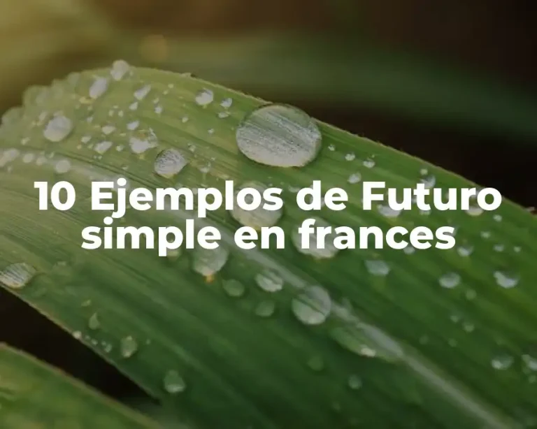 10 Ejemplos de Futuro simple en frances
