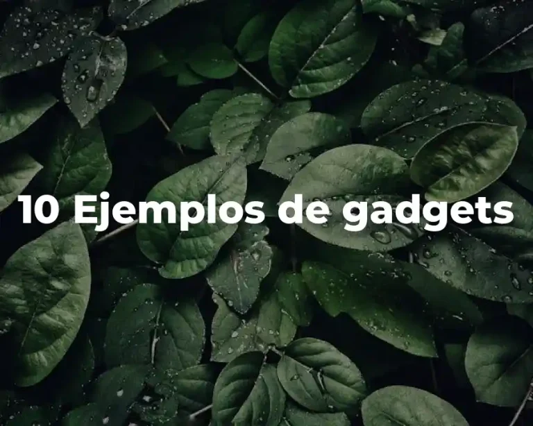 10 Ejemplos de gadgets