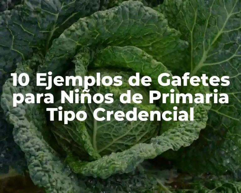 10 Ejemplos de Gafetes para Niños de Primaria Tipo Credencial