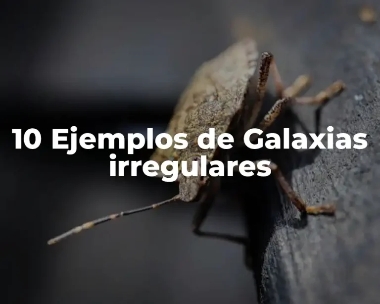 10 Ejemplos de Galaxias irregulares