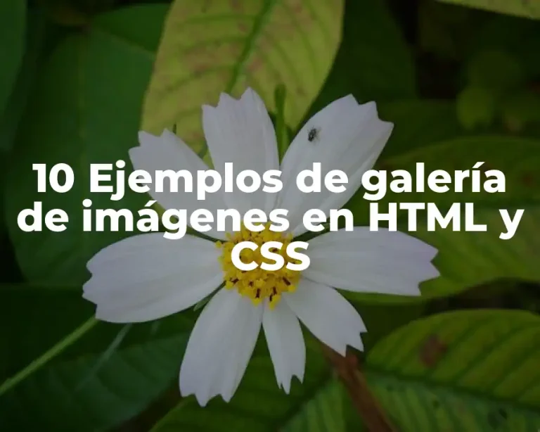 10 Ejemplos de galería de imágenes en HTML y CSS