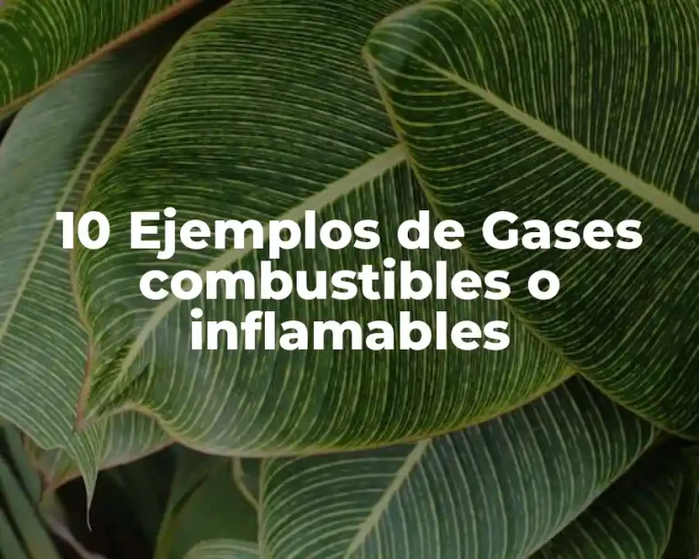 10 Ejemplos de Gases combustibles o inflamables