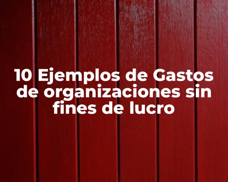 10 Ejemplos de Gastos de organizaciones sin fines de lucro