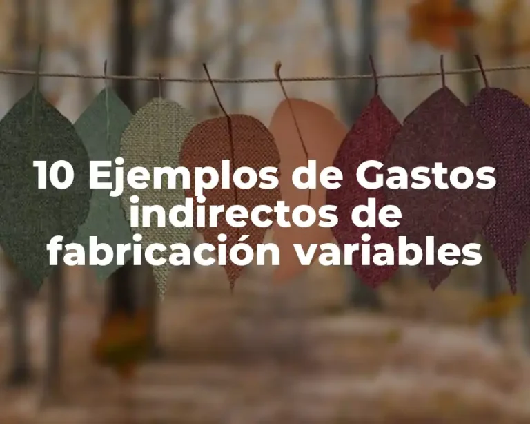 10 Ejemplos de Gastos indirectos de fabricación variables