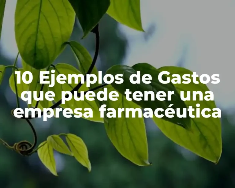 10 Ejemplos de Gastos que puede tener una empresa farmacéutica