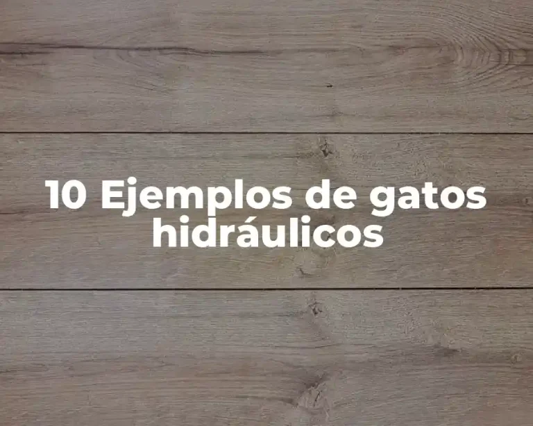 10 Ejemplos de gatos hidráulicos