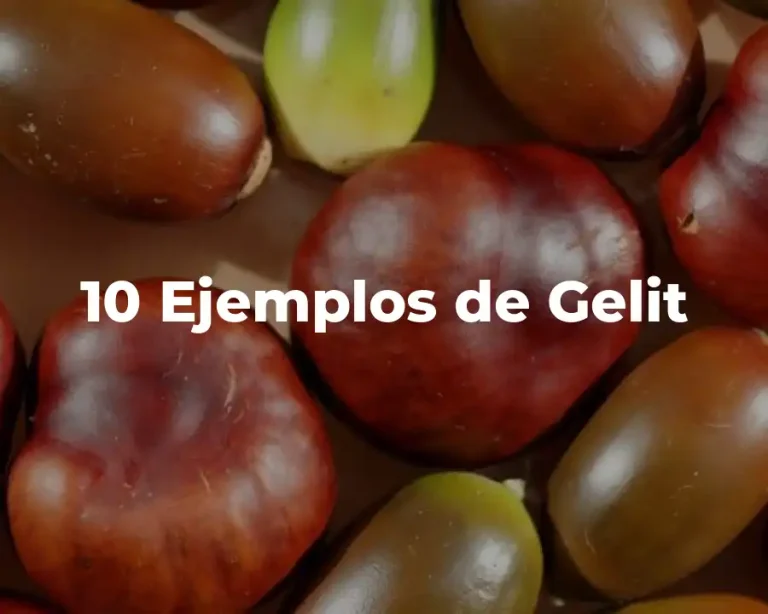 10 Ejemplos de Gelit