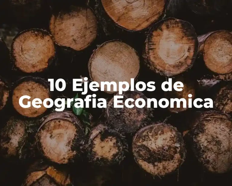 10 Ejemplos de Geografia Economica