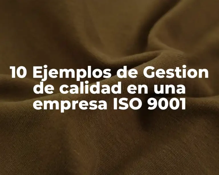 10 Ejemplos de Gestion de calidad en una empresa ISO 9001